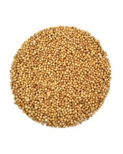 Cilantro en grano