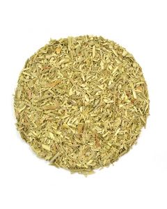 Olivo Hojas