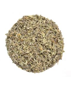 Salvia