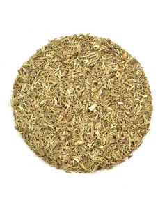 Verbena