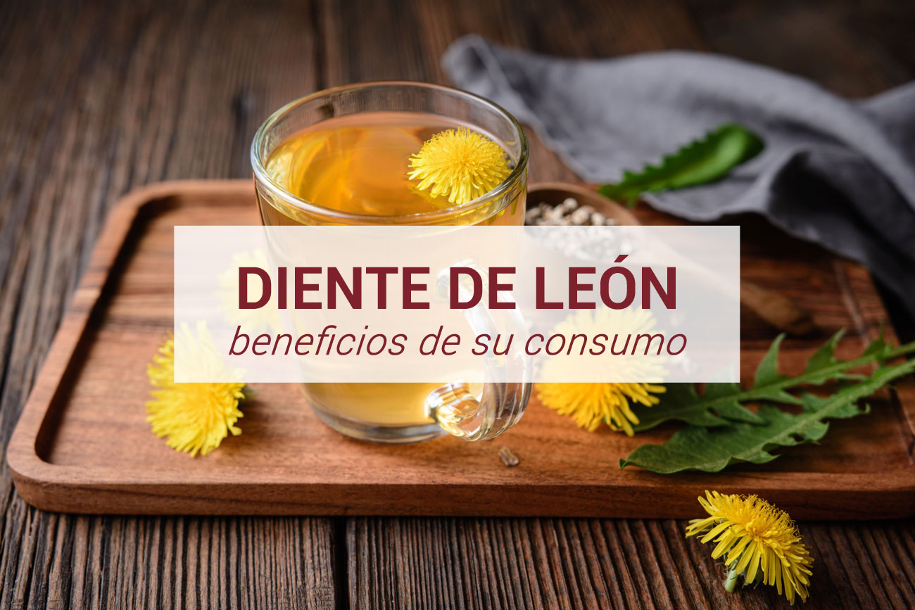 ¿Qué es el Diente de León y para qué sirve?